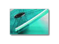 Weighing plate turquoise-transparent